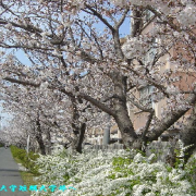 宇部开拓大学短期大学部（宇部フロンティア大学短期大学部）