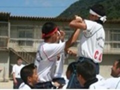 岡山県高梁日新高等学校 课外活动