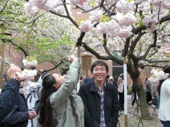 信爱语学专门学院赏樱花 