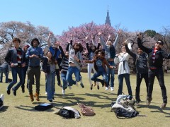 东京国际日本语学院赏樱照片