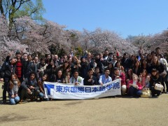 东京国际日本语学院赏樱照片