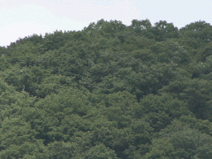 冈山县共生高等学校景色