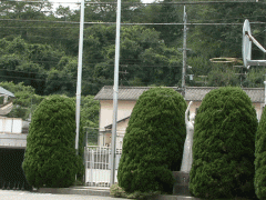 冈山县共生高等学校校园