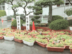 久留米大学附设高等学校校园