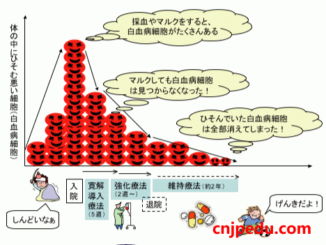 日本医生怎么把白血病给“染红”