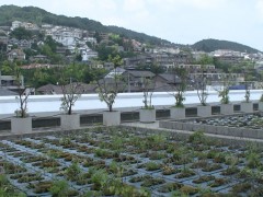 云雀丘学园高等学校校园设风景