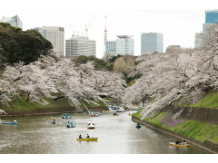 【4月11日】日本新闻精选